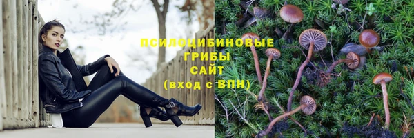 амф Надым