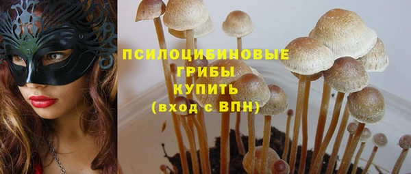 амф Надым