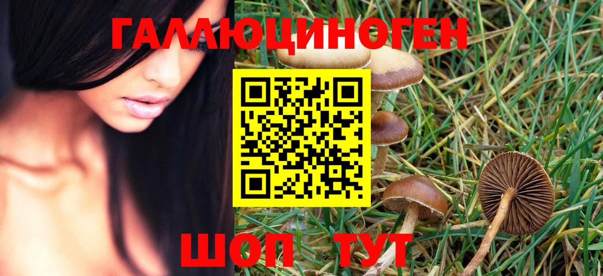 Псилоцибиновые грибы MAGIC MUSHROOMS  Вход с VPN  Галлюциногенные грибы Magic Shrooms  Сертолово 