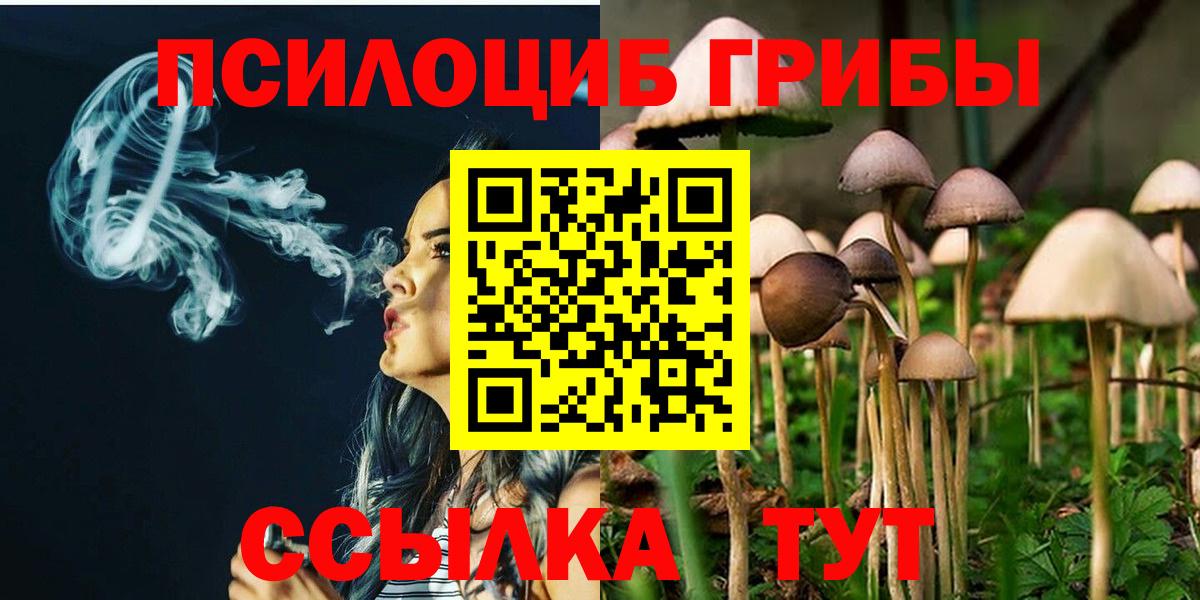 Галлюциногенные грибы MAGIC MUSHROOMS Сертолово