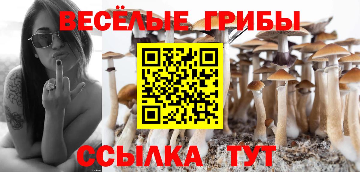 Сертолово  Cocaine  МЕТАМФЕТАМИН  ГАШИШ  Конопля  Cocaine  Вход с VPN  Меф   Канабис 