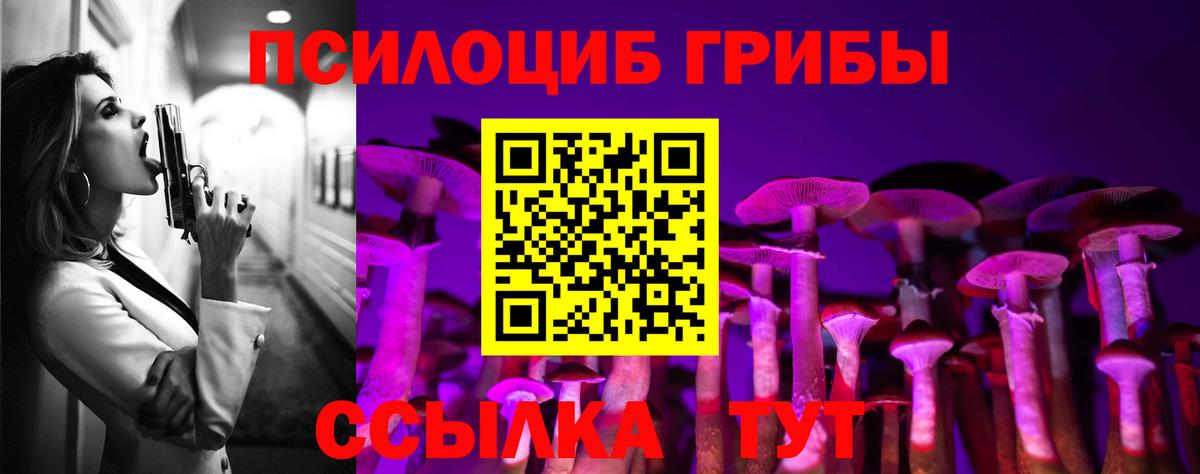 закладка  Сертолово  Псилоцибиновые грибы GOLDEN TEACHER 