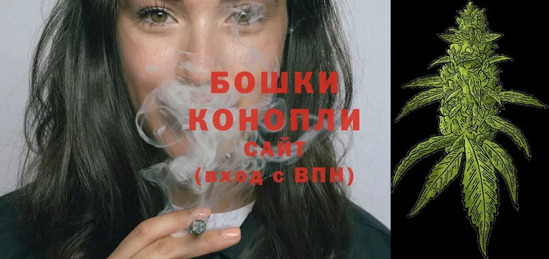 купить наркотик  Сертолово  Бошки Шишки SATIVA & INDICA 