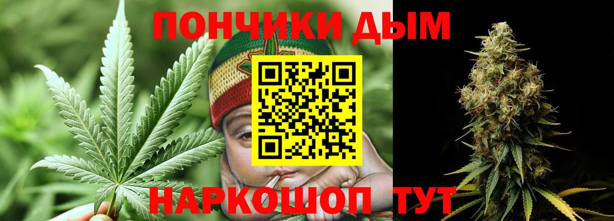 Каннабис Bruce Banner  Сертолово  Канабис планчик  МАРИХУАНА сатива 